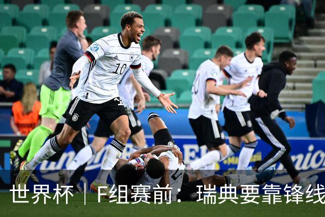 世界杯｜F组赛前：瑞典要靠锋线双星 突尼斯欲出线