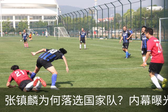 张镇麟为何落选国家队？内幕曝光，叫人心疼，郭士强并没放弃他